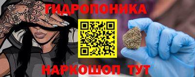 apvp Лесосибирск