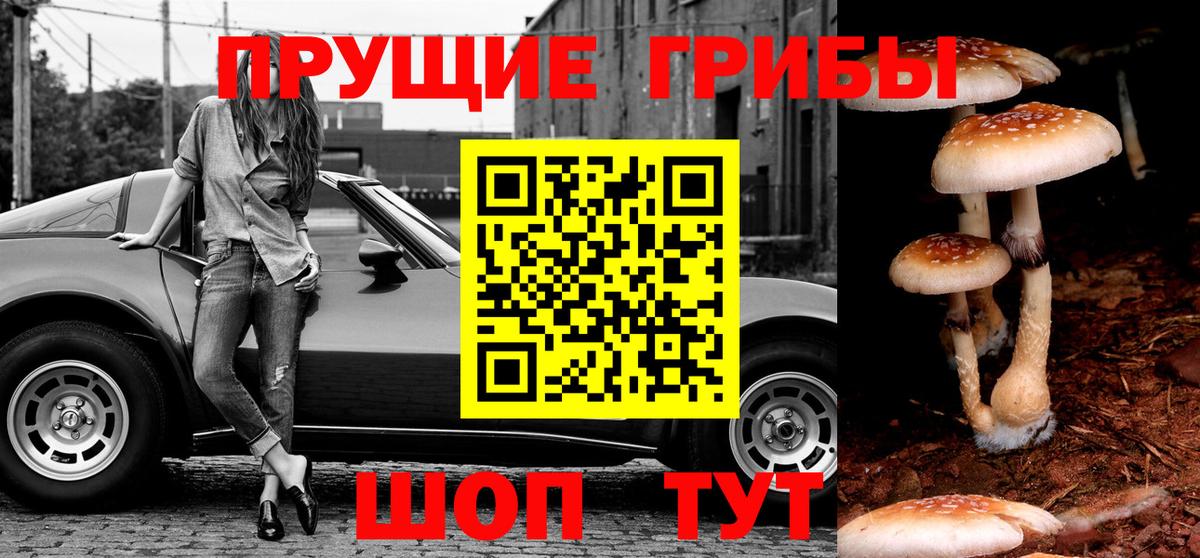 Шали  Галлюциногенные грибы Magic Shrooms  Псилоцибиновые грибы Magic Shrooms  Вход с VPN 