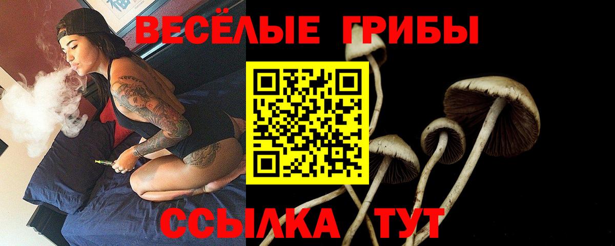 Псилоцибиновые грибы прущие грибы Шали