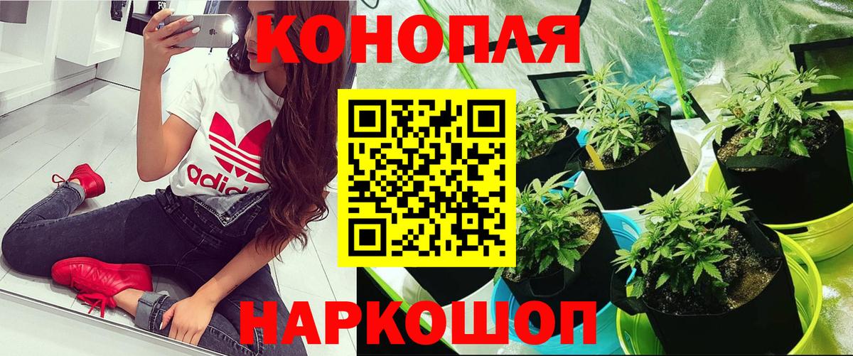 Марихуана сатива  МАРИХУАНА OG Kush  Вход с VPN  Шали  Конопля MAZAR  Марихуана гибрид 